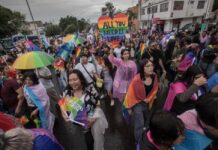Marcha del Orgullo LGBT+ en Querétaro reúne a miles de personas y cumple una década de visibilidad Multitud de participantes en una marcha del orgullo LGBT+ avanzando por una avenida urbana entre banderas multicolores, pancartas y vehículos alegóricos durante una jornada de visibilidad y reivindicación social.