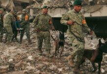 Crece la tragedia en Venezuela: aumentan las víctimas mientras continúan las labores de rescate Elementos de las Fuerzas Armadas de México, acompañados por binomios caninos, realizan labores de búsqueda y rescate entre edificios colapsados en una zona afectada por los terremotos en Venezuela.