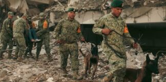 Crece la tragedia en Venezuela: aumentan las víctimas mientras continúan las labores de rescate Elementos de las Fuerzas Armadas de México, acompañados por binomios caninos, realizan labores de búsqueda y rescate entre edificios colapsados en una zona afectada por los terremotos en Venezuela.