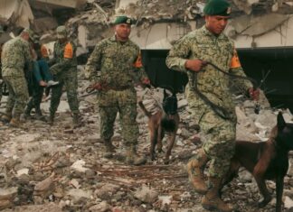 Crece la tragedia en Venezuela: aumentan las víctimas mientras continúan las labores de rescate Elementos de las Fuerzas Armadas de México, acompañados por binomios caninos, realizan labores de búsqueda y rescate entre edificios colapsados en una zona afectada por los terremotos en Venezuela.