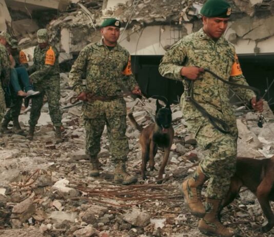 Crece la tragedia en Venezuela: aumentan las víctimas mientras continúan las labores de rescate Elementos de las Fuerzas Armadas de México, acompañados por binomios caninos, realizan labores de búsqueda y rescate entre edificios colapsados en una zona afectada por los terremotos en Venezuela.