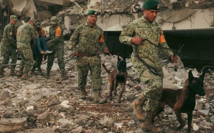Elementos de las Fuerzas Armadas de México, acompañados por binomios caninos, realizan labores de búsqueda y rescate entre edificios colapsados en una zona afectada por los terremotos en Venezuela.