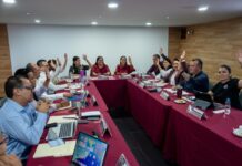 Morena y sus aliados alistan proceso para definir coordinaciones estatales rumbo a las elecciones de 2027 Sesión de trabajo de la Comisión Nacional de Elecciones de Morena con integrantes reunidos alrededor de una mesa durante una votación interna relacionada con el proceso rumbo a las elecciones de 2027.