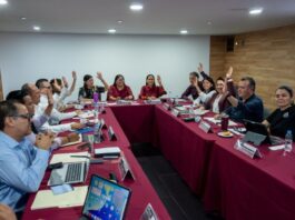 Morena y sus aliados alistan proceso para definir coordinaciones estatales rumbo a las elecciones de 2027 Sesión de trabajo de la Comisión Nacional de Elecciones de Morena con integrantes reunidos alrededor de una mesa durante una votación interna relacionada con el proceso rumbo a las elecciones de 2027.