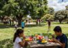 Cinco consejos para que los niños no descuiden su alimentación durante las vacaciones de verano Familia prepara un desayuno saludable con frutas y agua durante las vacaciones de verano.