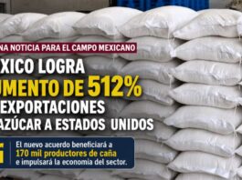 México logra aumento de 512% en exportaciones de azúcar a Estados Unidos; beneficiará a 170 mil productores Costales de azúcar apilados con una leyenda sobre el aumento de 512 por ciento en las exportaciones mexicanas a Estados Unidos.