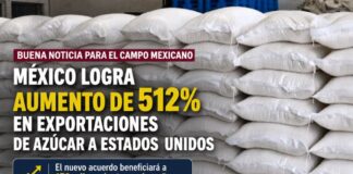 México logra aumento de 512% en exportaciones de azúcar a Estados Unidos; beneficiará a 170 mil productores Costales de azúcar apilados con una leyenda sobre el aumento de 512 por ciento en las exportaciones mexicanas a Estados Unidos.