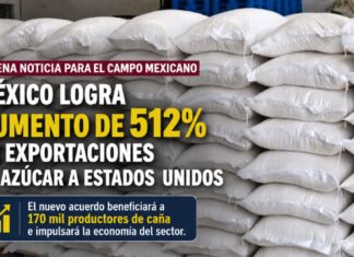 México logra aumento de 512% en exportaciones de azúcar a Estados Unidos; beneficiará a 170 mil productores Costales de azúcar apilados con una leyenda sobre el aumento de 512 por ciento en las exportaciones mexicanas a Estados Unidos.