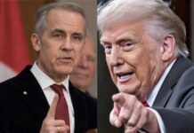 Canadá, México y el costo de desafiar a Estados Unidos Mark Carney, primer ministro de Canadá, y Donald Trump, presidente de Estados Unidos, durante la disputa comercial entre ambos países.