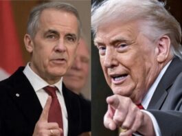 Canadá, México y el costo de desafiar a Estados Unidos Mark Carney, primer ministro de Canadá, y Donald Trump, presidente de Estados Unidos, durante la disputa comercial entre ambos países.