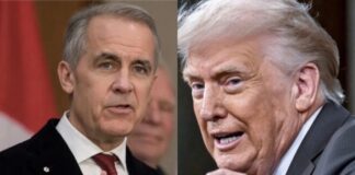 Canadá, México y el costo de desafiar a Estados Unidos Mark Carney, primer ministro de Canadá, y Donald Trump, presidente de Estados Unidos, durante la disputa comercial entre ambos países.