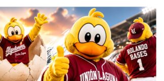 ¿Sabías que la mascota de los Algodoneros de Unión Laguna es un pollo? La mascota “Rolando Bases”, un pollo amarillo con uniforme de los Algodoneros de Unión Laguna, celebra sobre el terreno de juego de un estadio de béisbol.