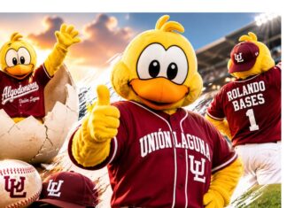 ¿Sabías que la mascota de los Algodoneros de Unión Laguna es un pollo? La mascota “Rolando Bases”, un pollo amarillo con uniforme de los Algodoneros de Unión Laguna, celebra sobre el terreno de juego de un estadio de béisbol.