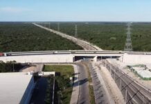 El sureste mexicano construye una nueva infraestructura para su desarrollo económico Vista aérea de una vía ferroviaria que pasa por debajo de un puente carretero, rodeada de extensas áreas de vegetación y acompañada por torres de transmisión eléctrica en el sureste de México.