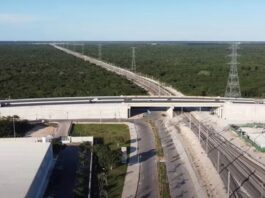 El sureste mexicano construye una nueva infraestructura para su desarrollo económico Vista aérea de una vía ferroviaria que pasa por debajo de un puente carretero, rodeada de extensas áreas de vegetación y acompañada por torres de transmisión eléctrica en el sureste de México.