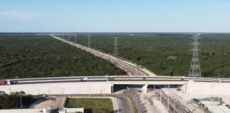 El sureste mexicano construye una nueva infraestructura para su desarrollo económico Vista aérea de una vía ferroviaria que pasa por debajo de un puente carretero, rodeada de extensas áreas de vegetación y acompañada por torres de transmisión eléctrica en el sureste de México.