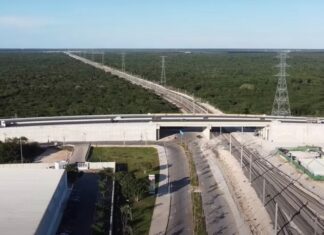 El sureste mexicano construye una nueva infraestructura para su desarrollo económico Vista aérea de una vía ferroviaria que pasa por debajo de un puente carretero, rodeada de extensas áreas de vegetación y acompañada por torres de transmisión eléctrica en el sureste de México.