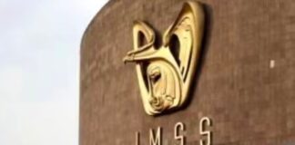 IMSS y SNTSS cierran la revisión salarial con un incremento global de 8% Emblema dorado y siglas del IMSS sobre la fachada de un edificio institucional.