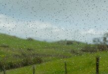Por qué unos lugares reciben tanta lluvia y otros tan poca Gotas de lluvia sobre un cristal, con un paisaje verde y un cielo gris desenfocados al fondo.