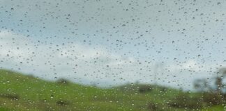 Por qué unos lugares reciben tanta lluvia y otros tan poca Gotas de lluvia sobre un cristal, con un paisaje verde y un cielo gris desenfocados al fondo.