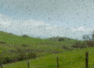 Por qué unos lugares reciben tanta lluvia y otros tan poca Gotas de lluvia sobre un cristal, con un paisaje verde y un cielo gris desenfocados al fondo.