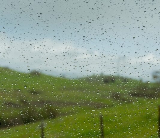 Por qué unos lugares reciben tanta lluvia y otros tan poca Gotas de lluvia sobre un cristal, con un paisaje verde y un cielo gris desenfocados al fondo.