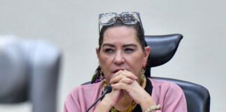 Taddei anuncia su renuncia: la confianza de la sociedad exige congruencia a los funcionarios Guadalupe Taddei sentada frente a un micrófono, con las manos entrelazadas y un letrero con su nombre.