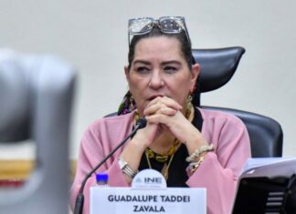 Taddei anuncia su renuncia: la confianza de la sociedad exige congruencia a los funcionarios Guadalupe Taddei sentada frente a un micrófono, con las manos entrelazadas y un letrero con su nombre.